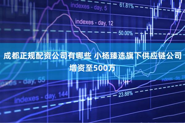 成都正规配资公司有哪些 小杨臻选旗下供应链公司增资至500万