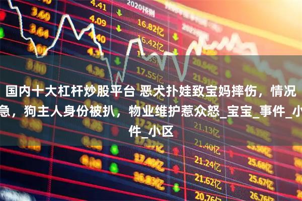 国内十大杠杆炒股平台 恶犬扑娃致宝妈摔伤，情况危急，狗主人身份被扒，物业维护惹众怒_宝宝_事件_小区