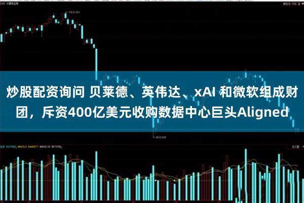 炒股配资询问 贝莱德、英伟达、xAI 和微软组成财团,斥资400亿美元收购数据中心巨头Aligned